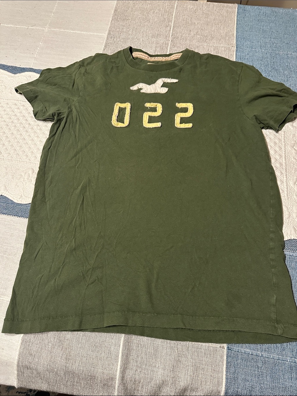 Hollister Olive Green Short Sleeve Tee with Yellow Accents